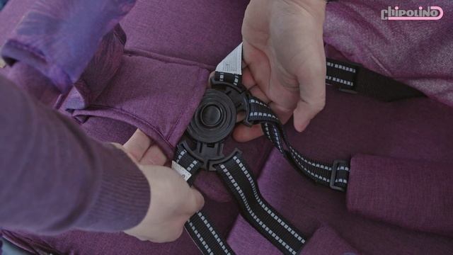 Chipolino Elea sport babakocsi смотреть онлайн