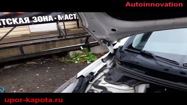 Идеальное сочетание: гармония цветов и форм