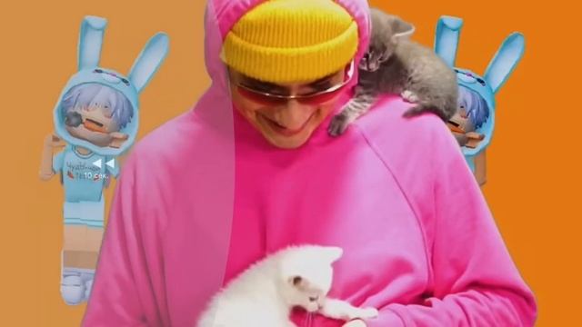 Холи бам песня про морковь 1 час (авторы @holy baam чудо чай) смотреть онлайн