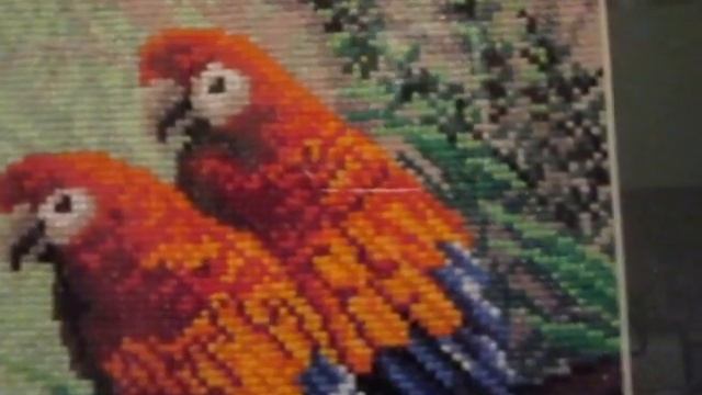 Оформление Попугайчиков смотреть онлайн