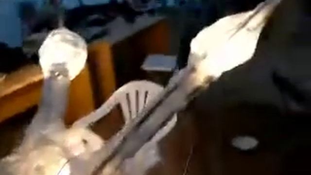 Улитка на склоне Фудзи смотреть онлайн