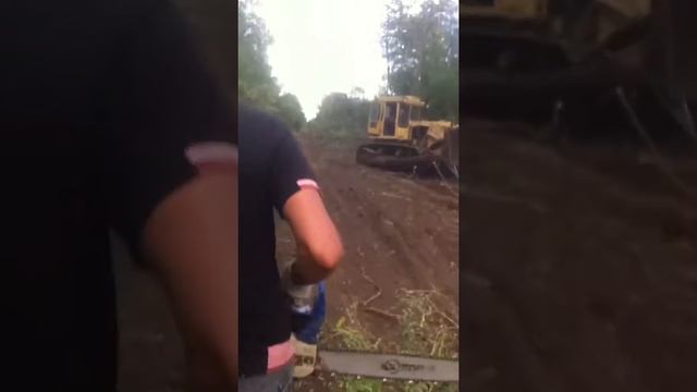 Корчевание бульдозером смотреть онлайн