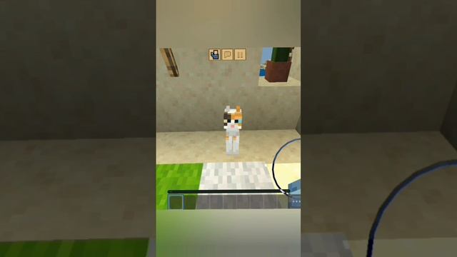 кот: платить? нет. #кот #майнкрафт #прикол #мем #minecraft смотреть онлайн