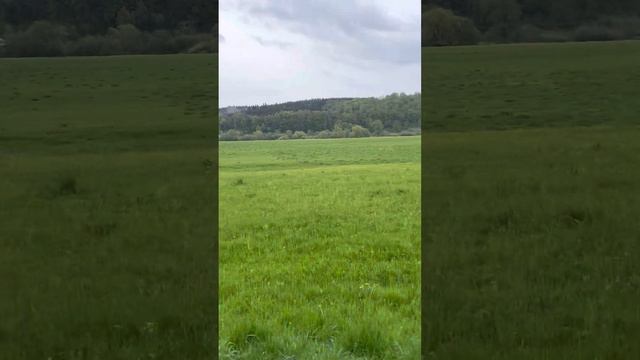 Набережная Дуная на велосипеде смотреть онлайн