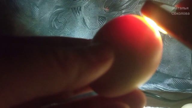 18 день инкубации. Пластиковый инкубатор механический. Как выглядит зародыш в яйце. Овоскопирование смотреть онлайн