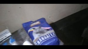 Осушитель воздуха своими руками для покраски.Боремся с конденсатом,в пневмосистеме.