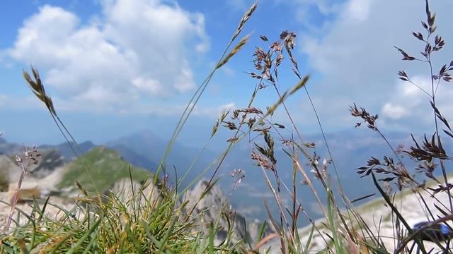 МОЖЕТ БЫТЬ, УЖЕ НАСТАЛО ВРЕМЯ АНТИХРИСТА МИТРОПОЛИТ КАЛАВРИТСКИЙ АМВРОСИЙ.mp4 смотреть онлайн