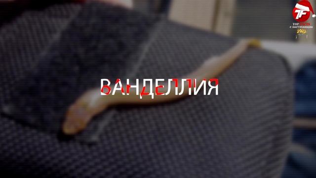 Если Вы Увидите ЭТО в Реке, Немедленно БЕГИТЕ и Зовите на ПОМОЩЬ смотреть онлайн