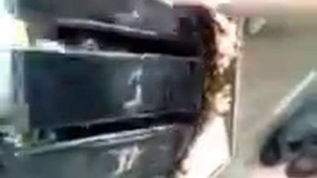 Рейниганг чистка гусениц прямолинейного кромочника смотреть онлайн