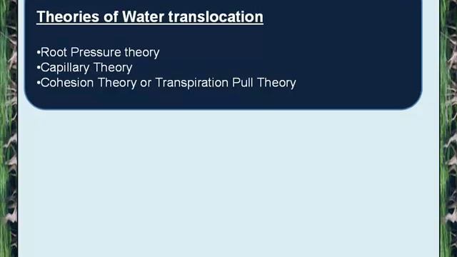 How to learn Plant Water Relation? for NEET смотреть онлайн