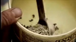 Предпосевная обработка семян. Два в одном - обеззараживание и дражирование