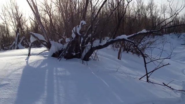На горниках Сургут 15.02.2015 смотреть онлайн