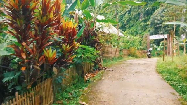 Morning Walk to Curug Tilu Waterfall || West Java, Indonesia?? смотреть онлайн