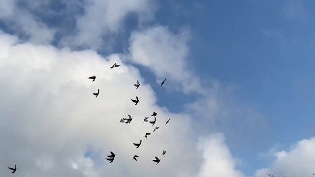 Разминка!!! смотреть онлайн