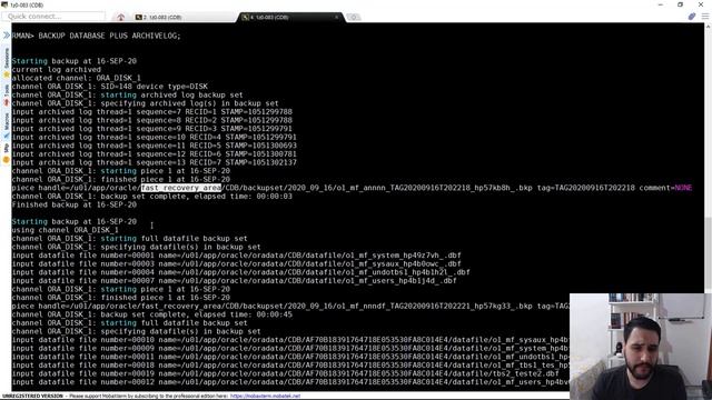 RMAN Backup CDB, Root and PDBs смотреть онлайн