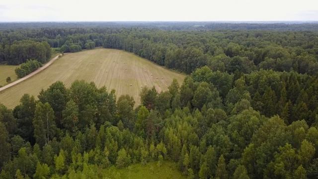 Чудо Земля смотреть онлайн