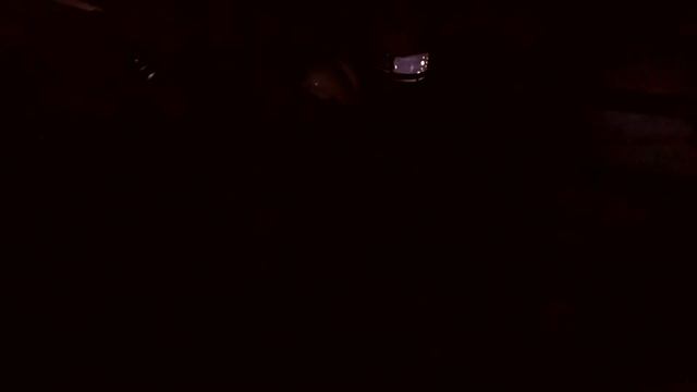 Всероссийский смотр-конкурс «Лучшая дружина юных пожарных России» 2020. смотреть онлайн