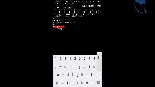 Install meterpreter in termux with 6 simple steps by hackinglab смотреть онлайн