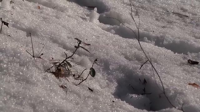 Зимний Валаам. Часть 1 смотреть онлайн