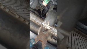 Ситроен С4 Замена термостата.  1.6 vti 16v 115 (EC5)