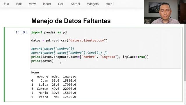 Imputación (o Manejo de Datos Faltantes) con Python смотреть онлайн