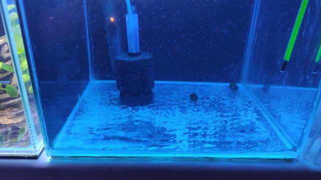 Да потому , что Мы - банда ! смотреть онлайн