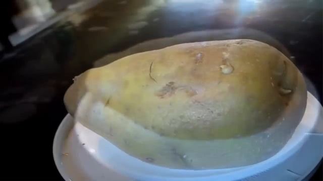 ? Haz brotar tu planta de papas (Solanum tuberosum) ??? Tu huerto смотреть онлайн