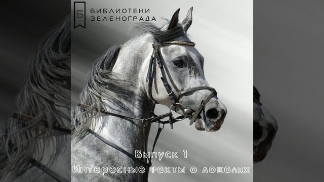 Подкаст 