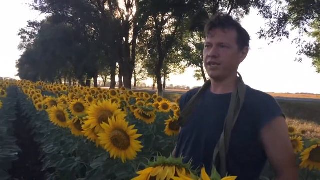 Кемпинг-тур видеодневник #8 смотреть онлайн