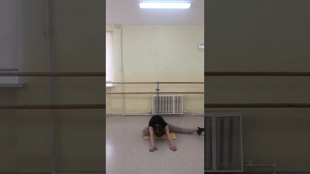 Видео урок по предмету Гимнастика смотреть онлайн