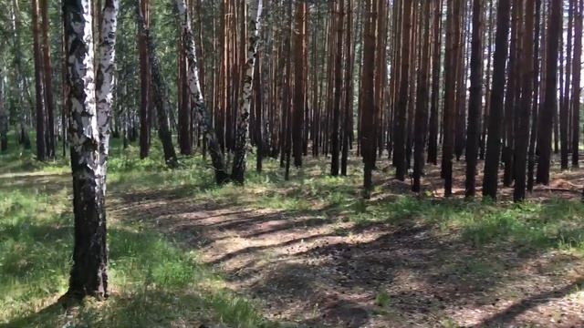 Катаюсь в 2021 году. смотреть онлайн