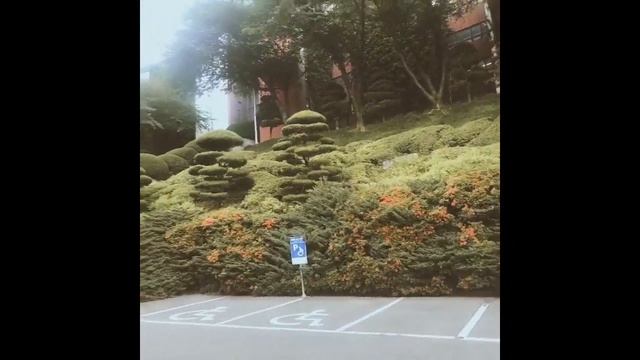 Dongseo University смотреть онлайн