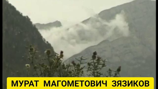 Ингушетия. СИЛА ВОЛИ И СИЛА ДУХА! смотреть онлайн