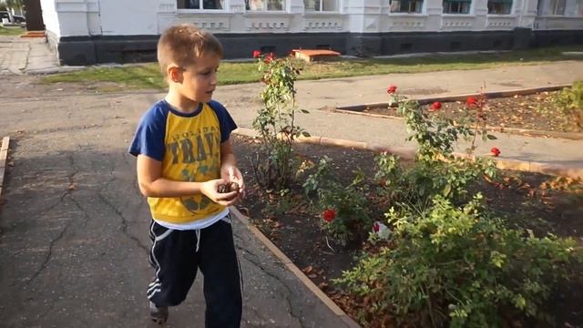 VLOG ♥ ОСЕННЯЯ ПОДЕЛКА В ДЕТСКИЙ САД ♥ 20 сентября 2016 ♥ Хуторянка смотреть онлайн