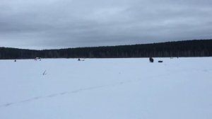 Прогноз клева рыбы на эту неделю с 1 по 15 Марта Календарь рыбака на Март Прогноз клева рыбы