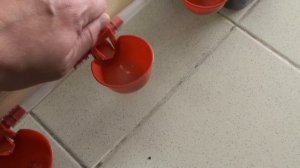 Как работают автоматические чашечные поилки. Модель чашечного поения