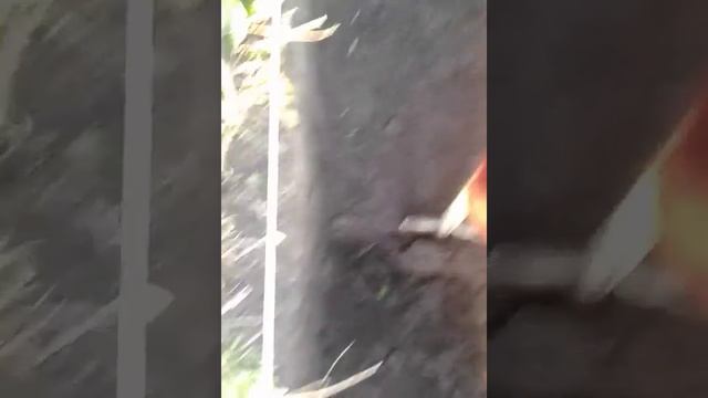 Как копать землю под фундамент, пару советов на личном опыте смотреть до конца. смотреть онлайн