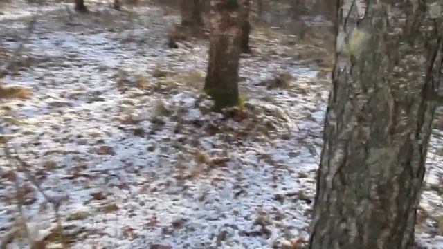 Вот и к нам пришла зима. смотреть онлайн