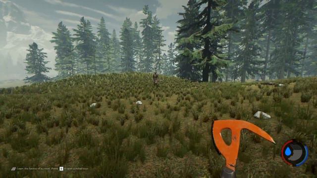 The Forest - Bad Signs (Alpha v0.25b) смотреть онлайн