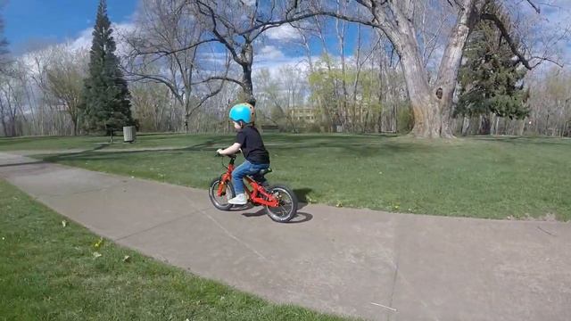 Frog 40 Kids 14 Inch Bike Review
