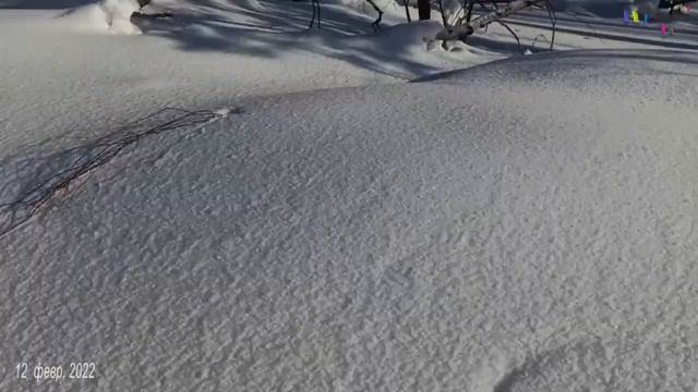 Лазил на ЛЫСУЮ гору. ЭТО фильм под  900 !!!!!! почти уже юбилейный!!!!!