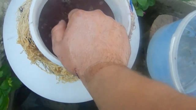 Кулинарный творческий процесс