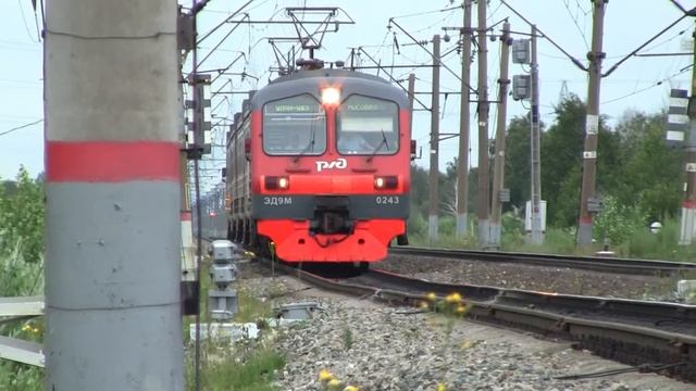 Электропоезд ЭД9М 0243 Прибывает на станцию Тимлюй Вос Сиб жд смотреть онлайн
