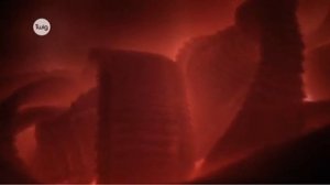 Бычий цепень  Часть 1