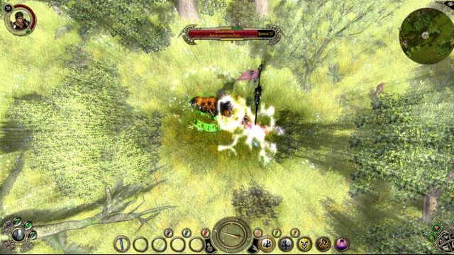 Sacred 2. Воин Тени VS Свирепый Кабан