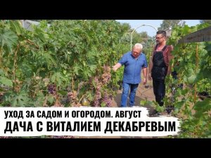 Дача с Виталием Декабревым. Уход за садом и огородом. Август