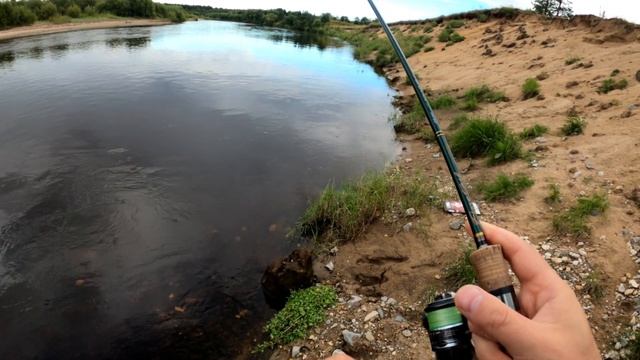 Архангельская область. Хариус, грибы. смотреть онлайн