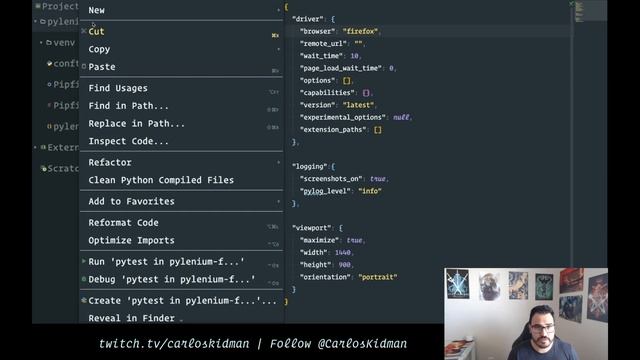 Pylenium: Getting Started смотреть онлайн