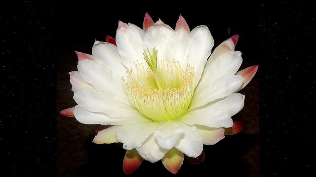 023 книга 3 Целый Месяц Счастья ч 2 стр 372 389 Г смотреть онлайн