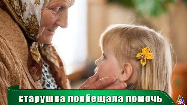 Никто не смог разлучить волчонка и его маленькую хозяйку - щенок волчицы снова вернулся в дом смотреть онлайн